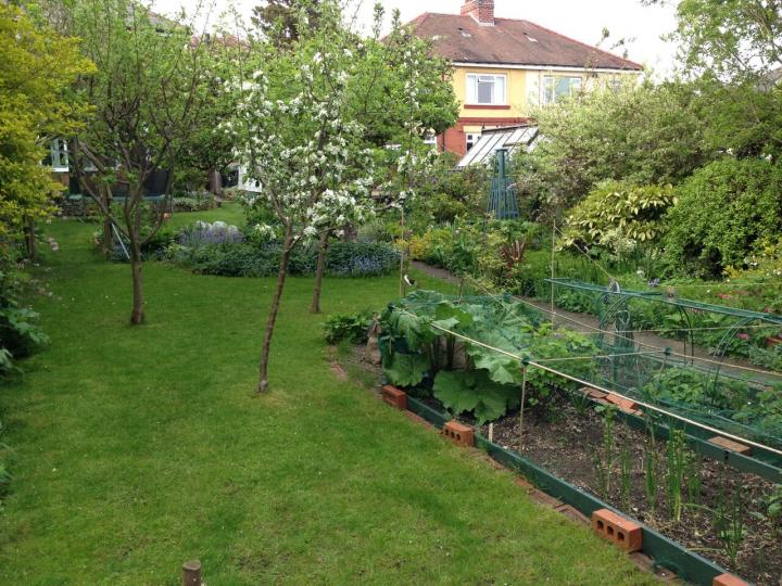 Backyard Vegetable Garden Layout | The Old Farmer's Alman