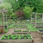 Backyard Organic Gardening Ideas - How My Dad Transformed My Mom's .
