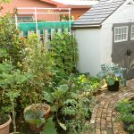 Backyard Edible Garden Design Urban Farming Institu