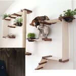 Amazon.com : CatastrophiCreations Cat Mod Garden Complex .