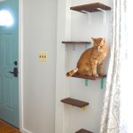 Cat Shelves (yes, you read that right) – Plaster & Disast