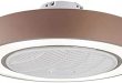 Amazon.com: UTEOTW Enclosed Ceiling Fan Lights for Low Ceilings .