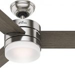 Hunter 54in Contemporary Ceiling Fan with Remote Control in .