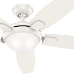 Hunter 54 in. Contemporary Ceiling Fan with LED Light and Remote .