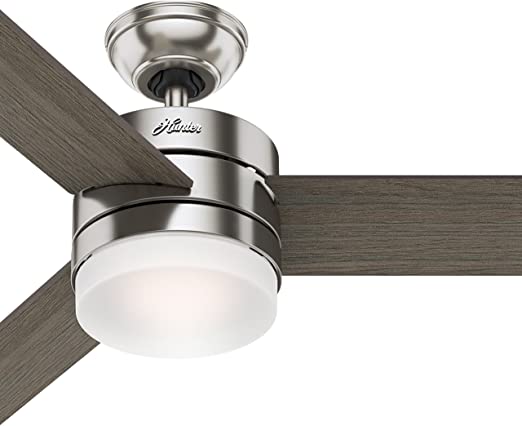 Hunter 54in Contemporary Ceiling Fan with Remote Control in .