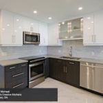 Contemporary Kitchen Cabinets in Thermofoil - Kitchen Cra