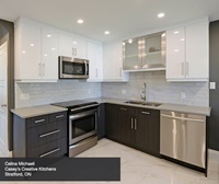 Contemporary Kitchen Cabinets in Thermofoil - Kitchen Cra