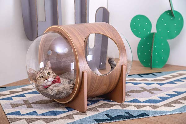 MYZOO: Exquisitely Cool Furniture For Cats | Petslady.c
