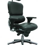 Eurotech LE9ERG Leather Executive Chair with Headrest and .