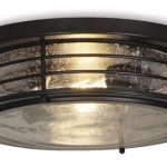 Patriot Lighting® Hale Black Flush Mount Ceiling Light at Menards