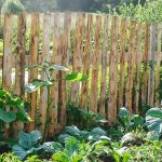 How to Build a Vegetable Garden Fence | DoItYourself.c
