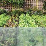 Volm 2' x 25' Garden Net Fence at Menards