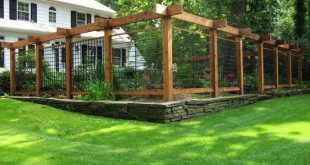 15 DIY Garden Fence Ideas With Pictures! | Fenced vegetable garden .