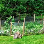 Great Garden Fence Ideas for 2017 - How to Build a Garden Fen