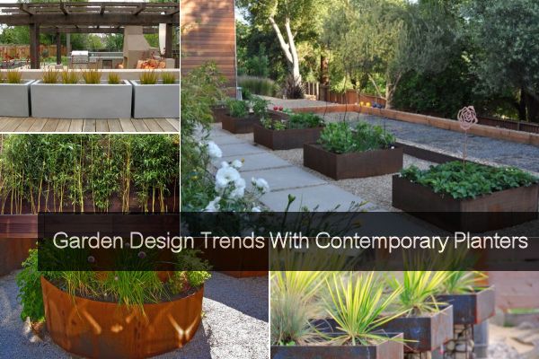 Garden Design Trends With Contemporary Plante