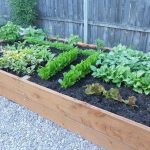 Veggie Garden - Why You Should Start One | Raised garden planters .