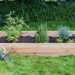 Raised Garden Beds vs. Elevated Garden Planters - Outdoor Essentia