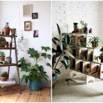 Mangal Parinay - Go Green Home Decor Ideas With These Exotic Plants.