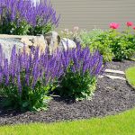 The Benefits Of Using Landscaping Rocks In Your Yard - Southern .