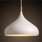 Comtemporary Pendant Light 60W White Lampshade Industrial Metal .