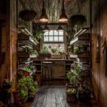 The Potting Shed: A Green Oasis in Alexandria | Home, garden, The .