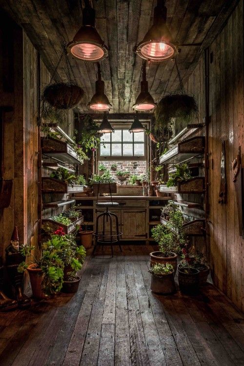 The Potting Shed: A Green Oasis in Alexandria | Home, garden, The .