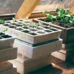 In Pursuit of the Perfect Potting Shed - FineGardeni