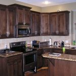 How to Stain Kitchen Cabinets | Stained kitchen cabinets, Stain .