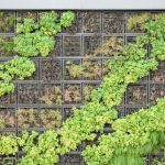 Dos and Don'ts When Building Your Own Vertical Garden - Make It Right