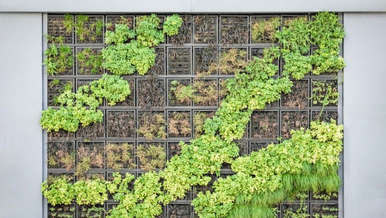 Dos and Don'ts When Building Your Own Vertical Garden - Make It Right
