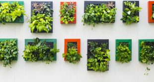 35 Creative Ways to Plant a Vertical Garden - How to Make a .