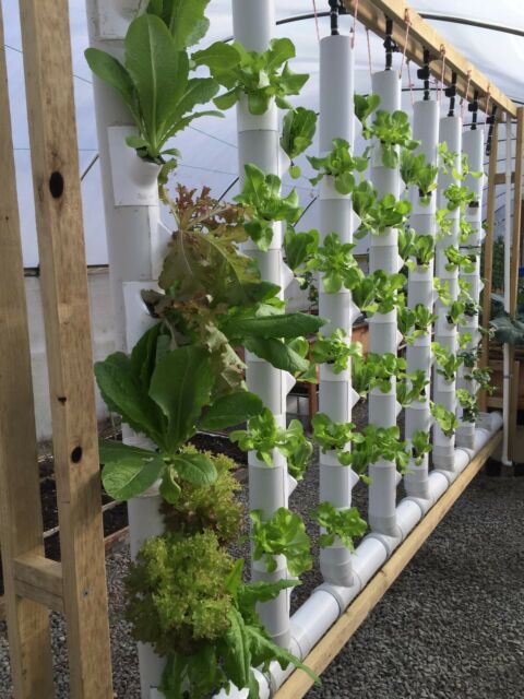 GroPockets Vertical Garden - Aquaponics, Hydroponics, Soil for .