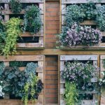 DIY Vertical Garden Anyone Can Make | Practical Gardening Ide