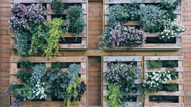 DIY Vertical Garden Anyone Can Make | Practical Gardening Ide