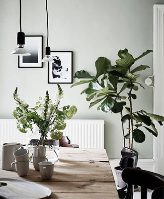 Sage green color wall decoration