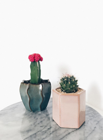 moderner Mini-Kaktus
