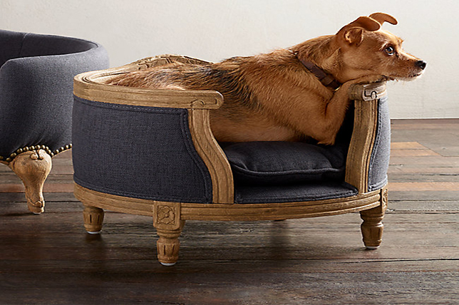 best pet furniture french dog bed
