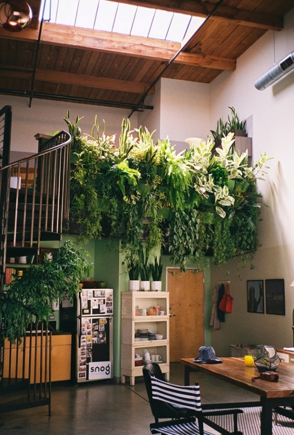 green plants on the stairs