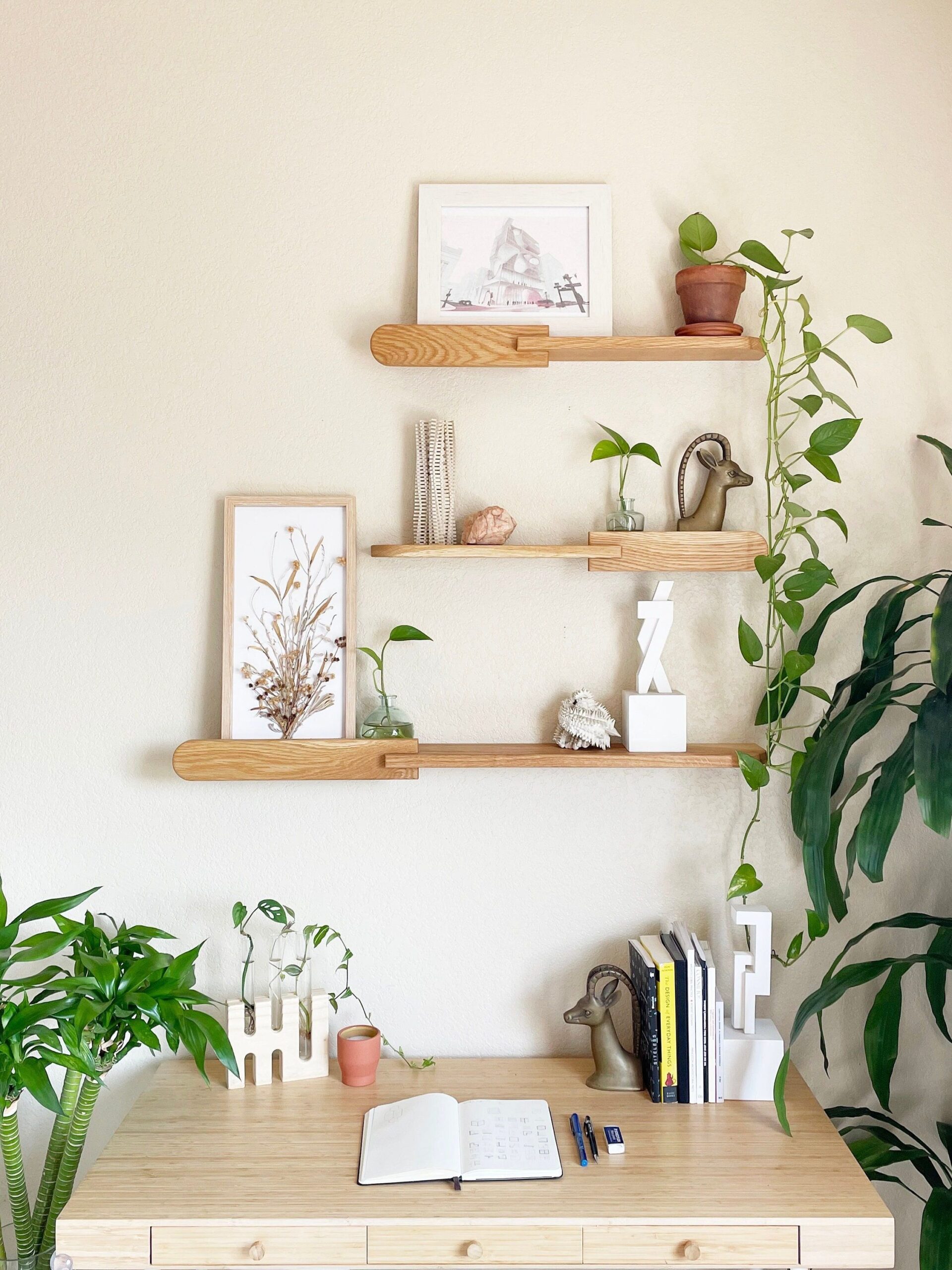 The Versatile Appeal of Wall Mounted Display Shelves