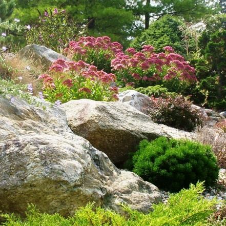 Enhance Your Outdoor Space with Beautiful Landscaping Rocks