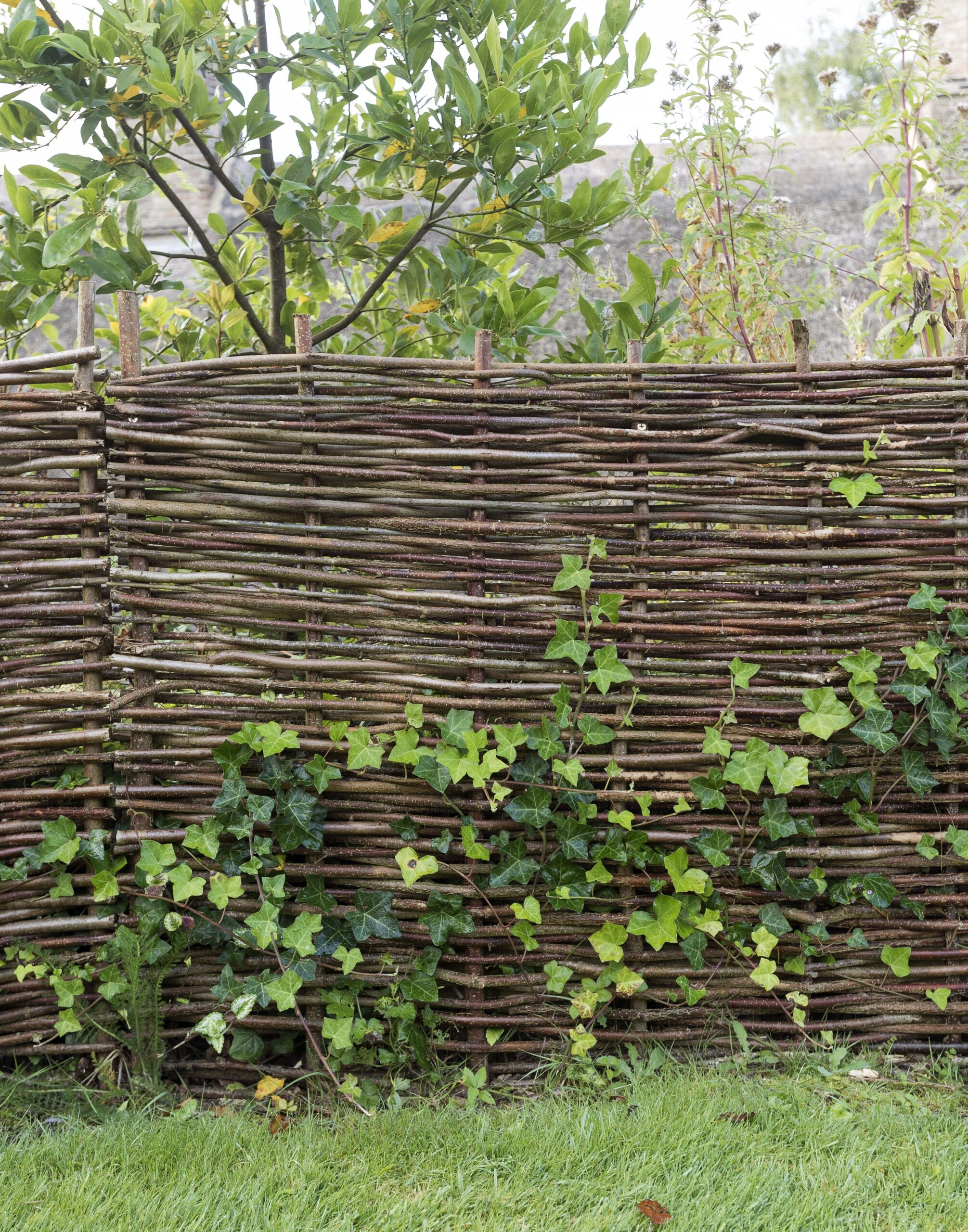 The Beauty and Functionality of Garden Fences