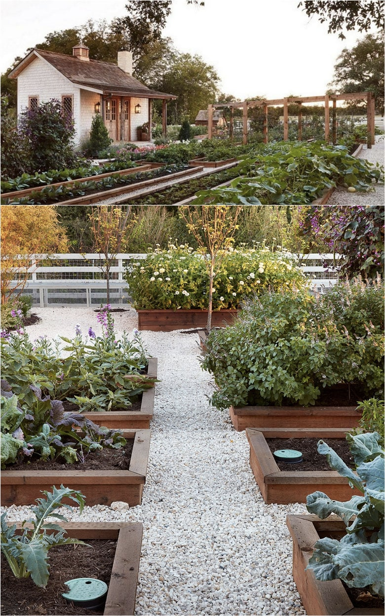Creating a Lush Garden Oasis in Your Backyard
