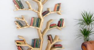 Bookshelf ideas