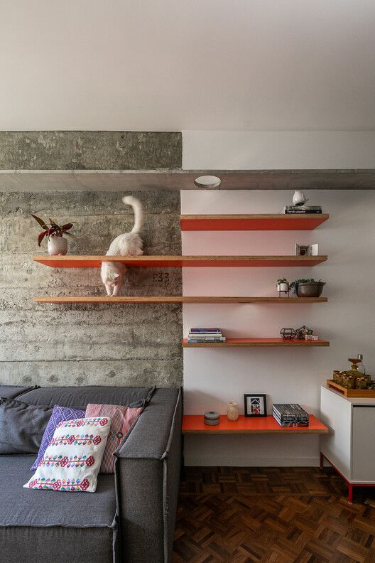 Creative Ways to Add Cat Shelves to Your Home