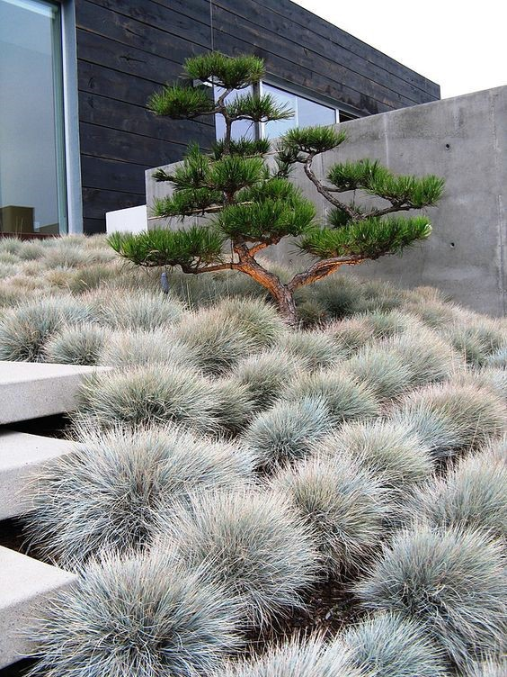 Creative Ways to Enhance Your Outdoor Space: Landscape Design Ideas