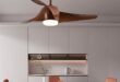 Modern Ceiling Fans With Lights