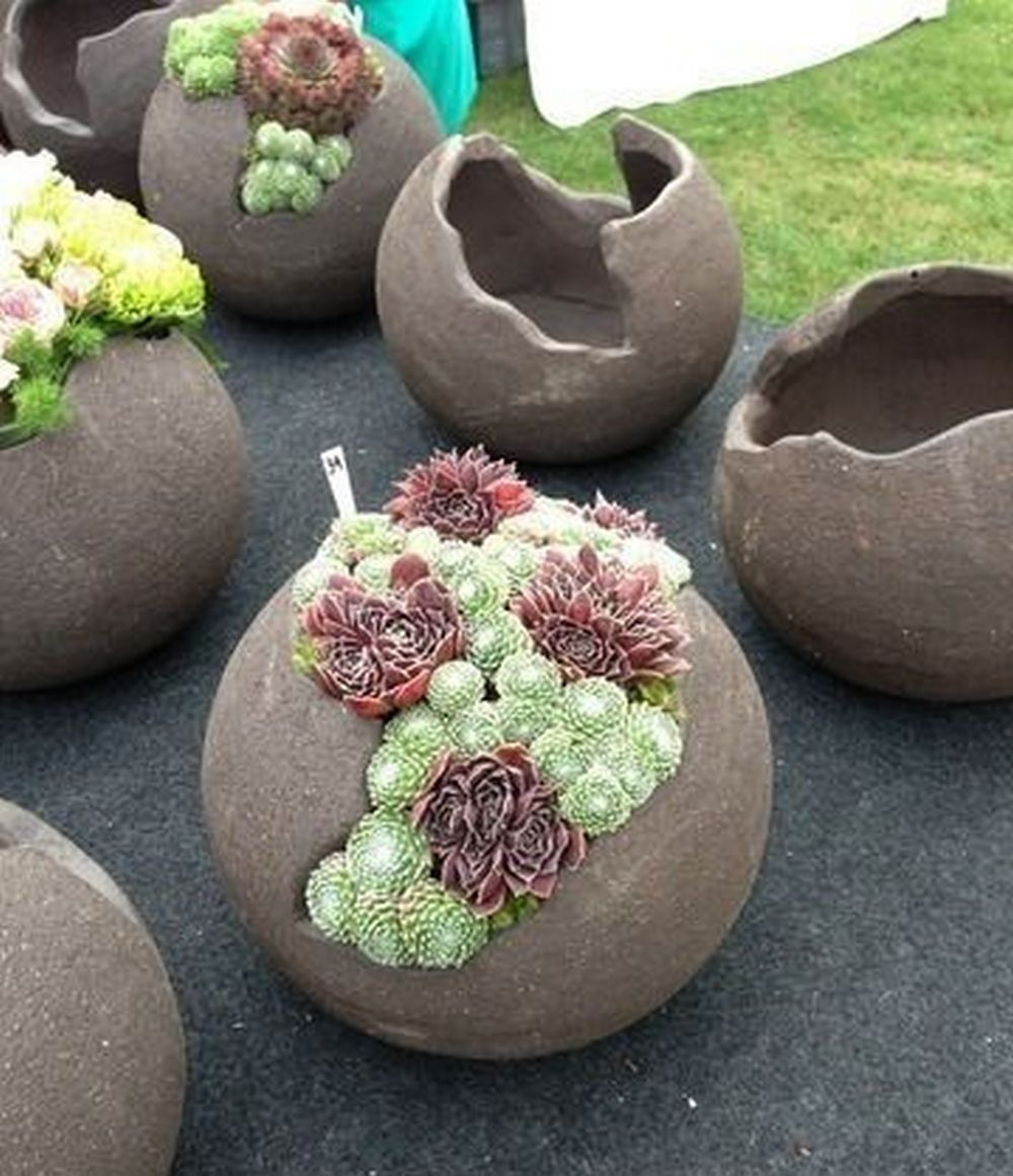 Enhance Your Garden with Beautiful Planters