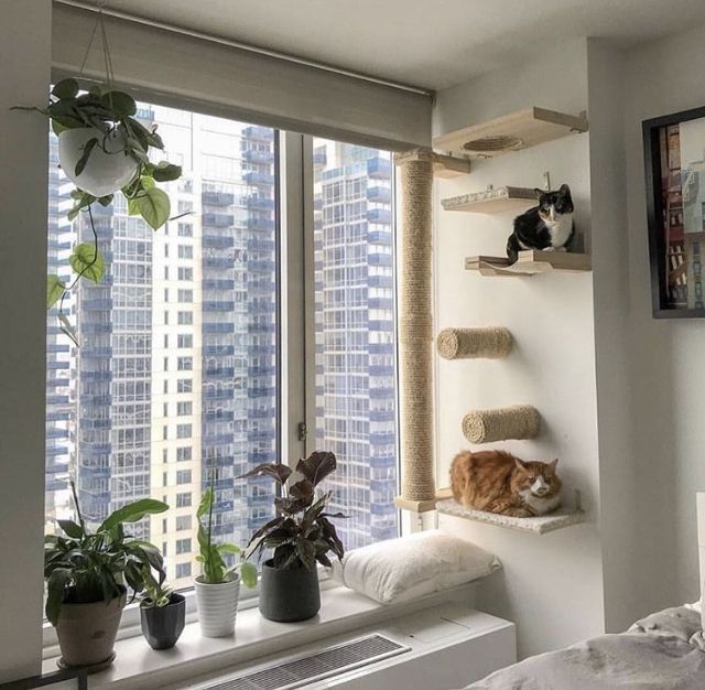 Enhancing Your Home with Stylish Cat Shelves