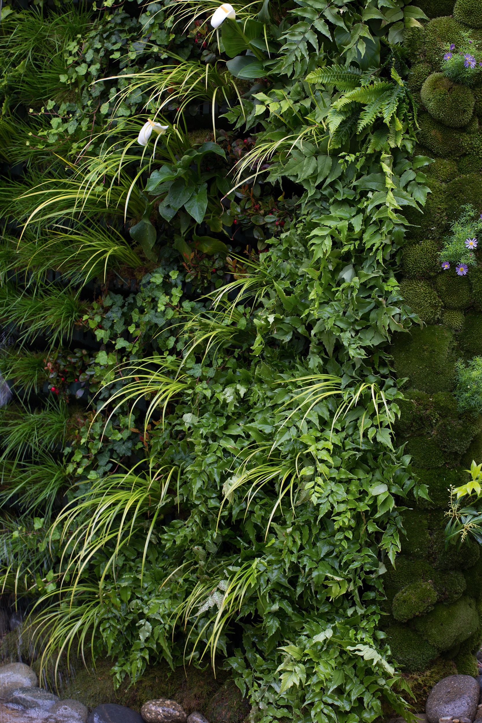 Exploring the Beauty of Vertical Gardens: A Lush Green Oasis in the City