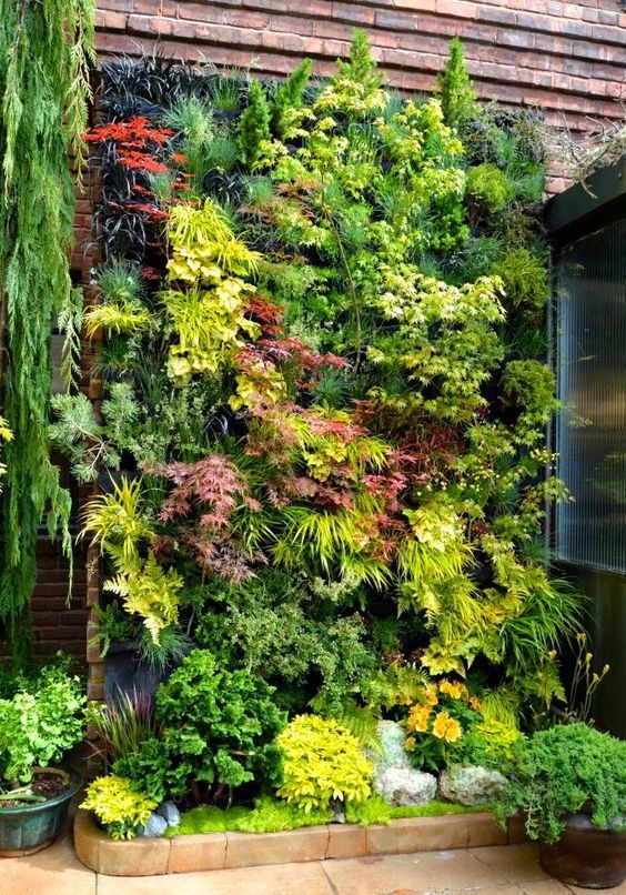 Growing Green Walls: The Beauty of Vertical Gardens